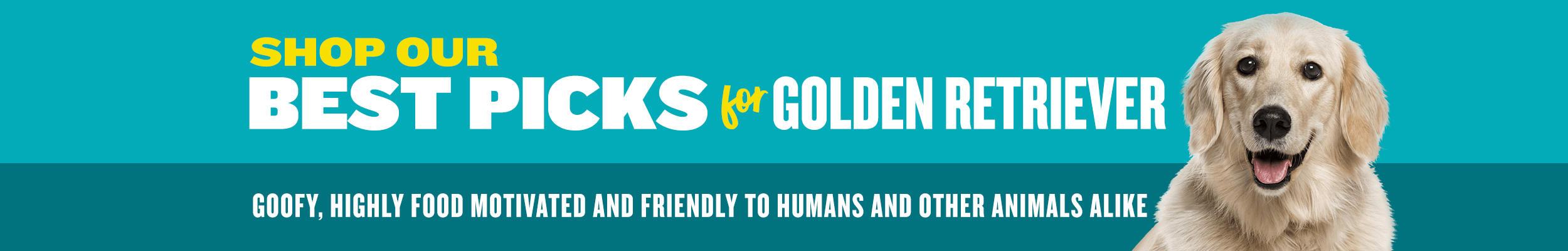 Welcome to the Golden Retriever Shop - banner