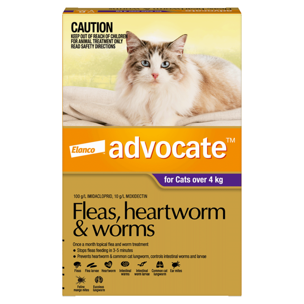 best flea and worming treatment for cats