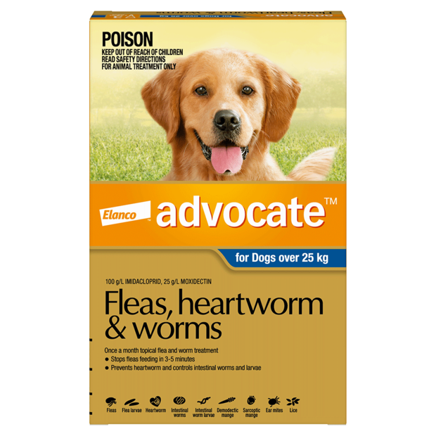 How Often Do You Give Puppies Worm Medicine Puppy And Pets
