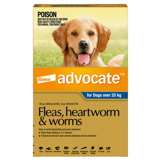 heartworm and intestinal worm treatment