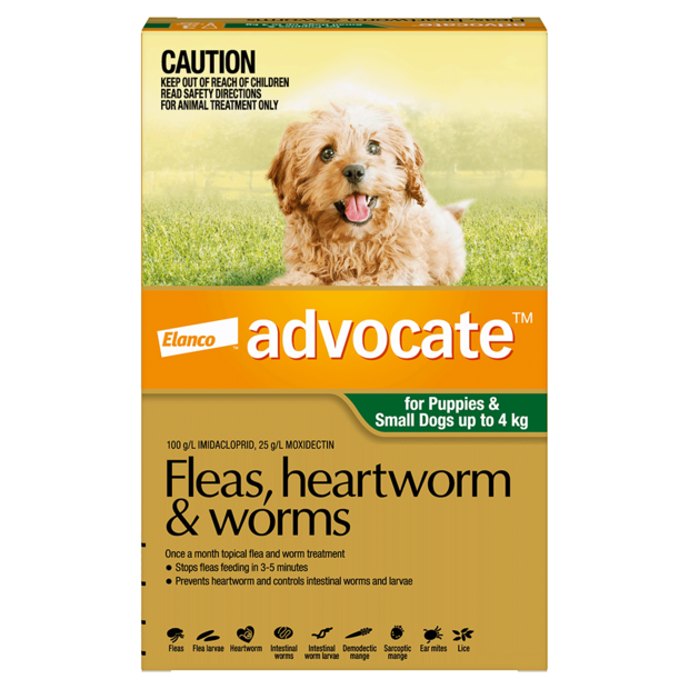 advocate 250 for dogs