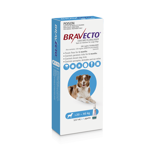 bravecto flea meds