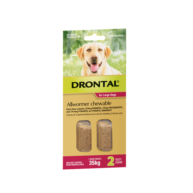 heartworm and dewormer