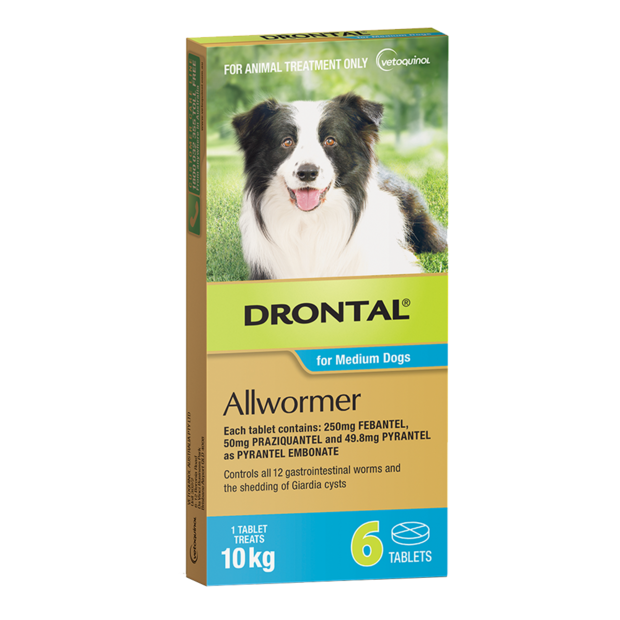 dog wormer and flea treatment in one