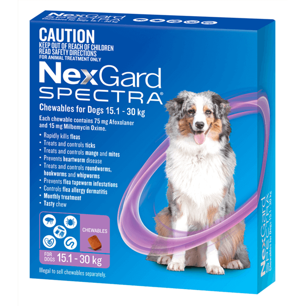 cheap flea and heartworm meds for dogs