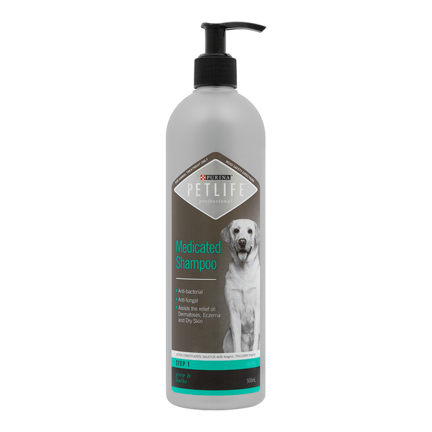 professional dog shampoo