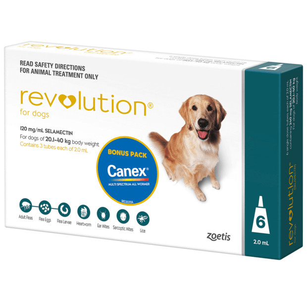 heartworm and flea tablets for dogs