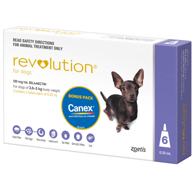 revolution for dogs for sale