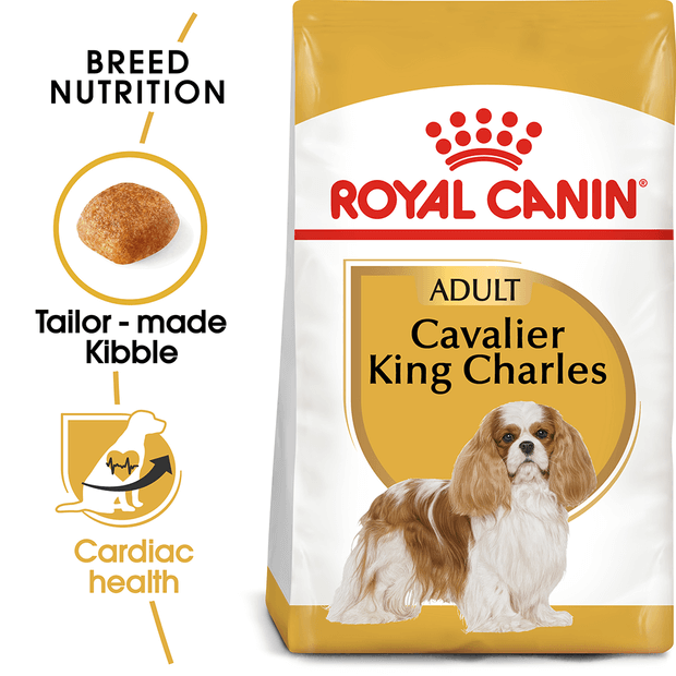 best dry food for cavoodles