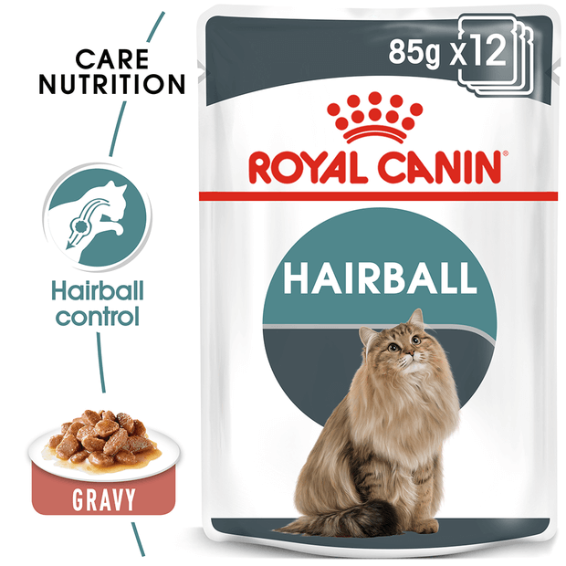 Royal Canin Hairball Care Gravy Wet Cat Food Pouches Pet Circle