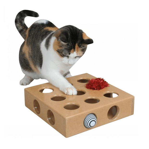 automated cat toys