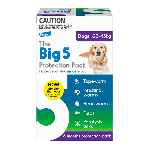 combo heartworm and flea medicine