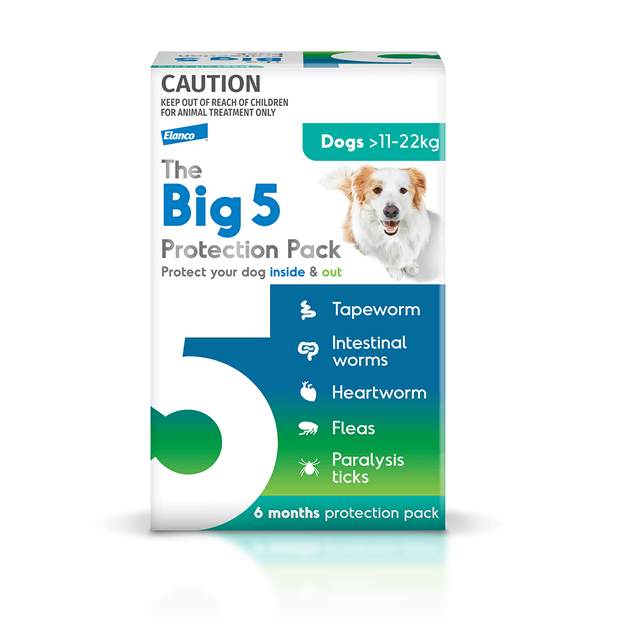 flea worm tablets dogs