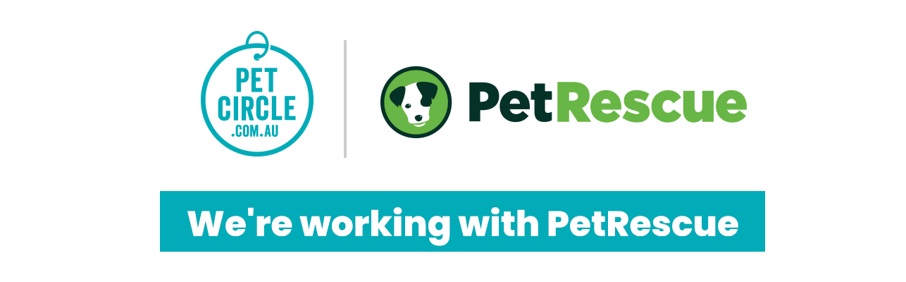 Pet circle afterpay best sale