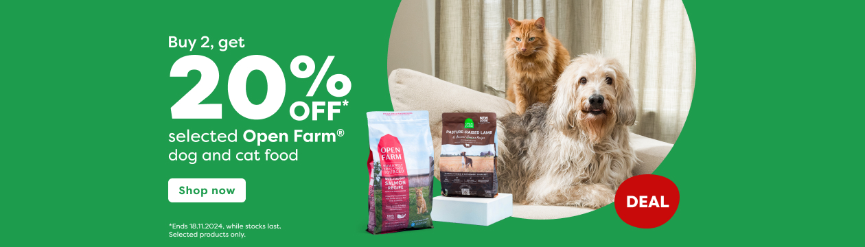 Buy dog stuff online hot sale
