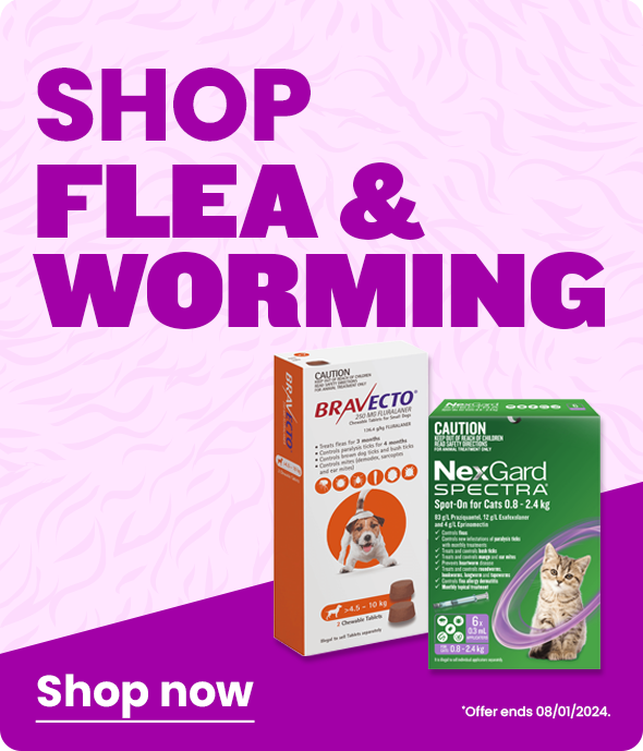 Online Pet Shop Food, Toys, Flea & Worming Pet Circle