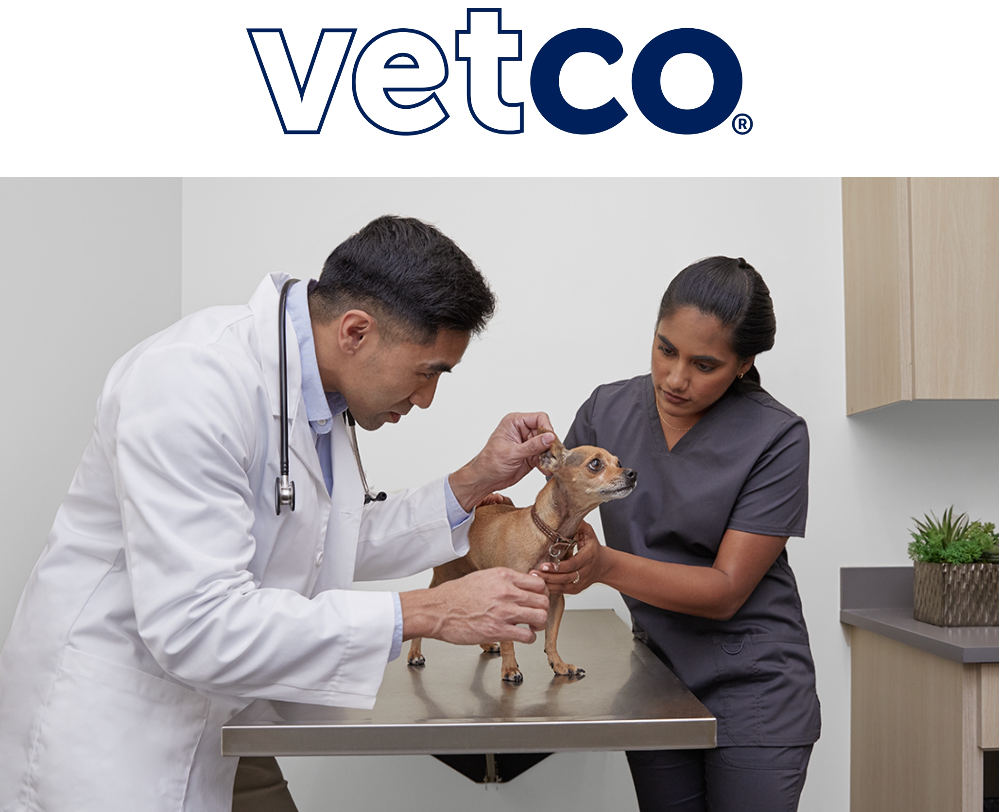 Documents & Charters | Petco, the Health + Wellness Co.