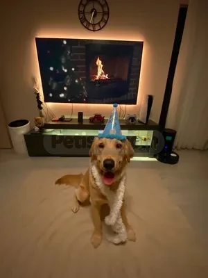 Oğlumuza yuva:) - fotoğraf 1