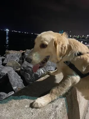 Oğlumuza yuva:) - fotoğraf 3
