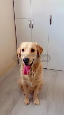 Oğlumuza yuva:) - fotoğraf 4