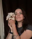     Bulut Gibi Tüyleriyle Özel Pomeranian Boo - fotoğraf 3