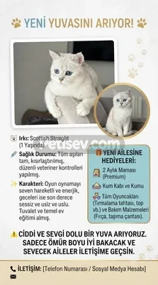 İlan Fotoğrafı