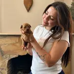 Tüm Türkiye'ye Toy Poodle Sahiplendirme