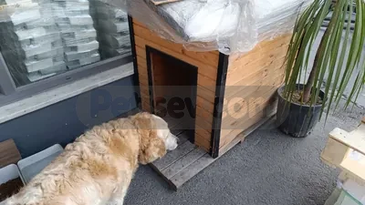 6 Yaşında kızımıza kalıcı yuva arıyoruz - fotoğraf 2