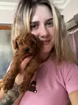 Toy Poodle Yavruları Çiftliğimizden - fotoğraf 5