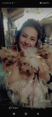 Merve Akçay
