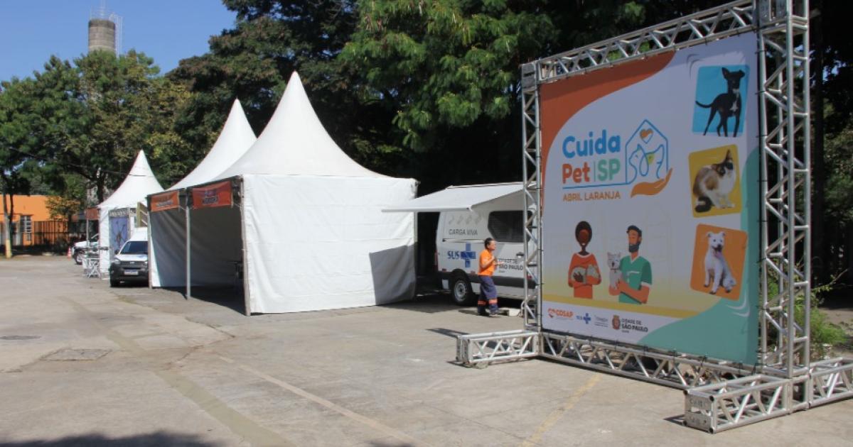 destaque principal do artigo