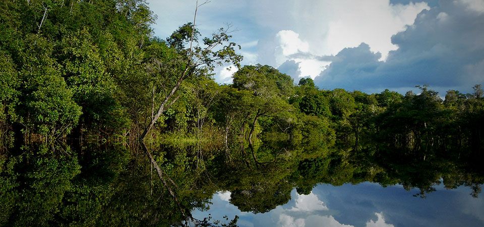 amazon jungle visit