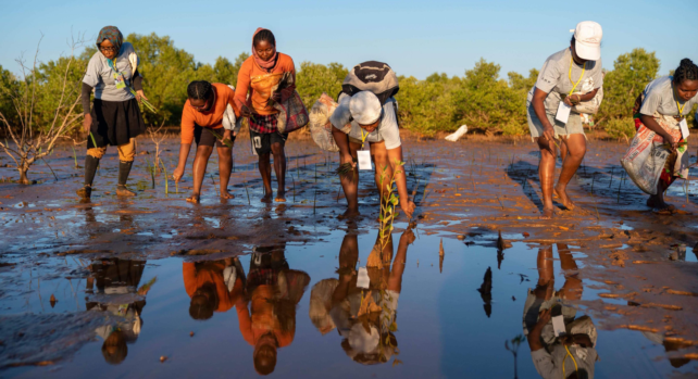Reforestation Madagascar