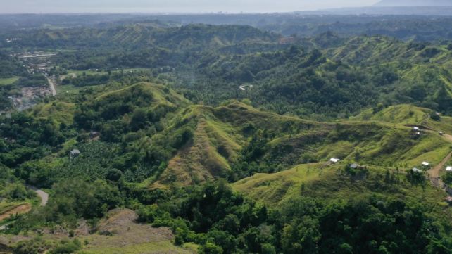 Philippines Reforestation