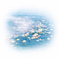 Sea Scattering Services