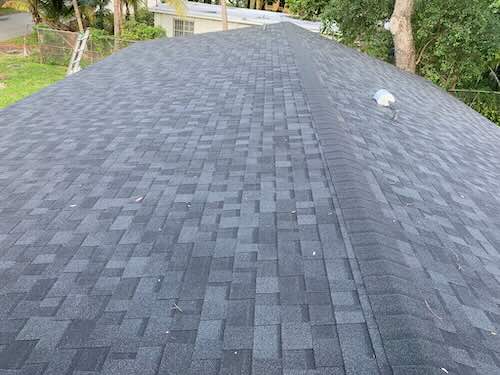 Shingle Roof