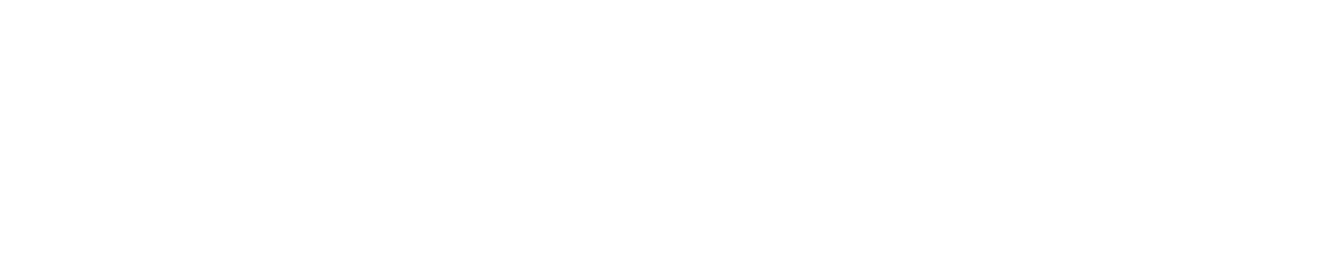 Lehigh Connects Logo