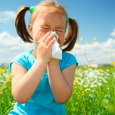 What Triggers Allergies?