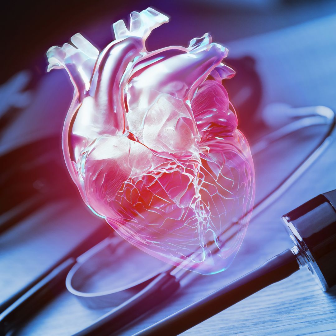 Why Should You Consider a Cardiac Ultrasound for Heart Screening?
