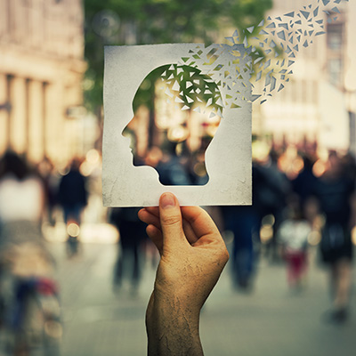 Recent trends in story
