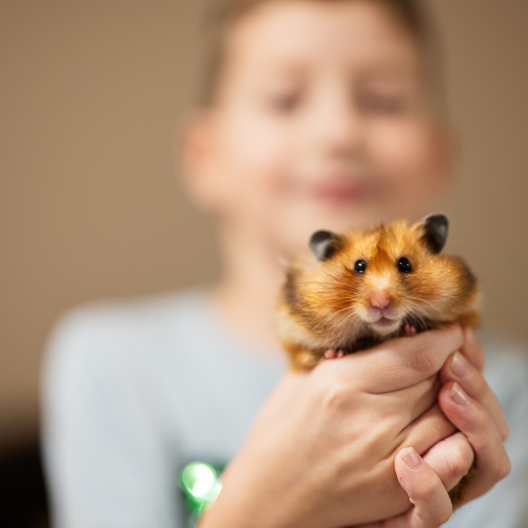 Are Children at Higher Risk for Animal Bites?
