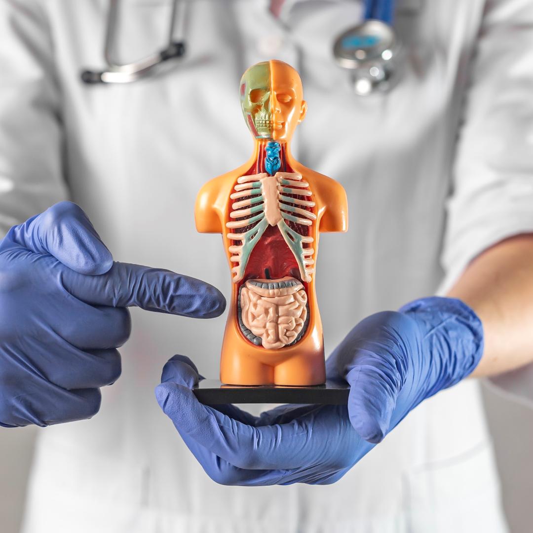 How Do GI Disorders Impact Daily Life?