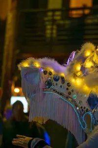 Photograph: Luminous Night Parade Dragon