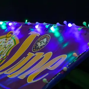 Photograph: Festive Float Lights Glow