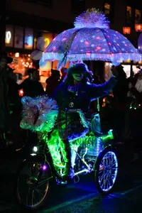 Photograph: Illuminated Night Parade Cycle