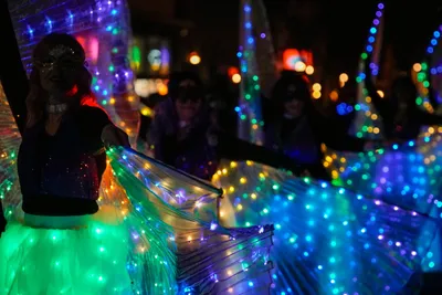 Photograph: Luminous Wings Light Parade