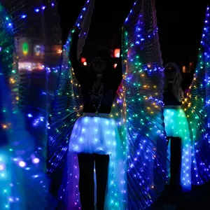 Photograph: Luminous Wings at Night