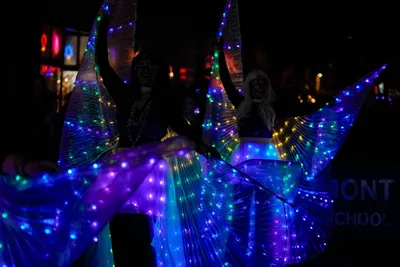 Photograph: Luminous Wings at Night