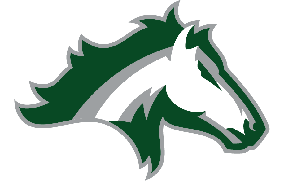 Kennesaw Mountain High School Mustang logo