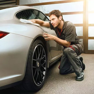 Nissan - Vehicle Detail Service